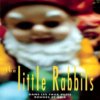 The Little Rabbits - Album - Dans les faux puits rouges et gris
